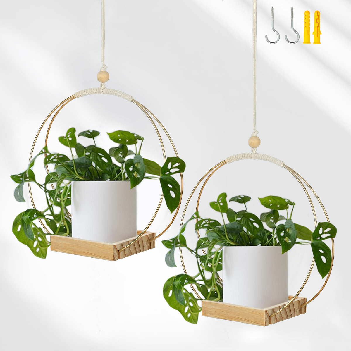 Buy Now Plant Hanger with Wood Base Online | Shineloha