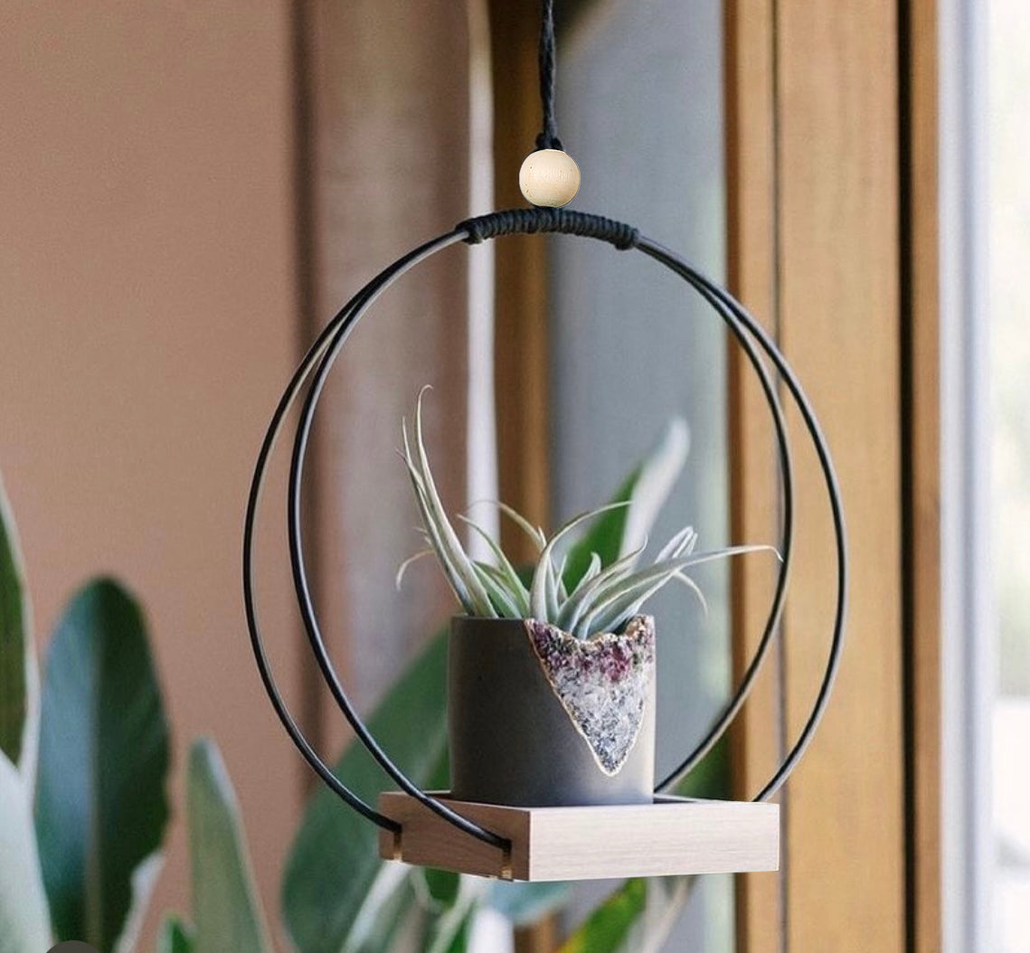 Buy Now Plant Hanger with Wood Base Online | Shineloha