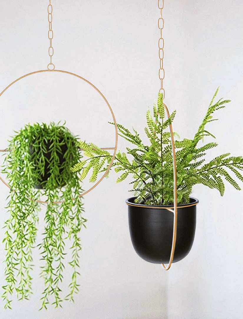 Buy Now Modern Metal Hanging Planters with 6 inch Pot Online | Shineloha