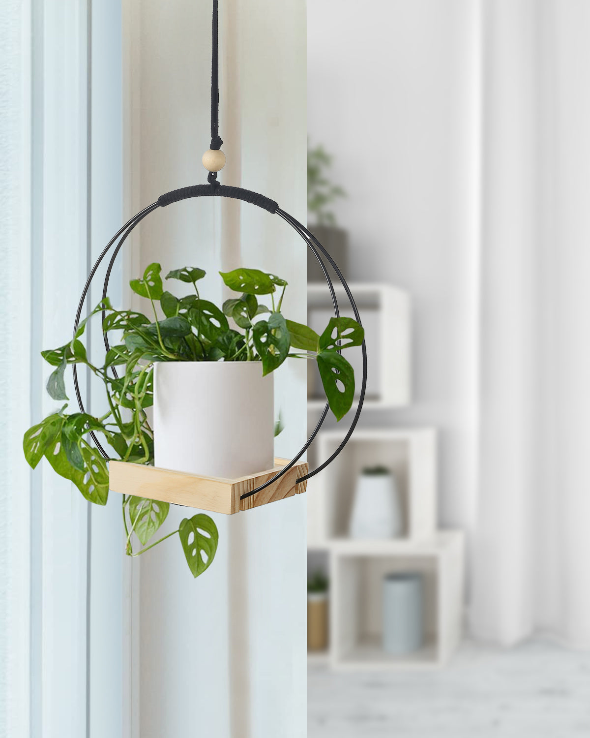 Buy Now Plant Hanger with Wood Base Online | Shineloha