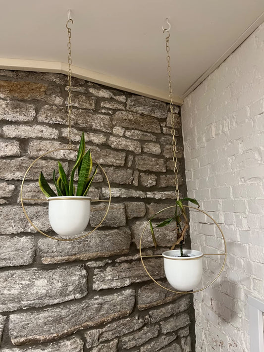 Buy Now Modern Metal Hanging Planters with 6 inch Pot Online | Shineloha