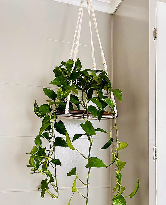 Buy Now Macrame Cotton Plant Hanger with Wooden Tray Online | Shineloha