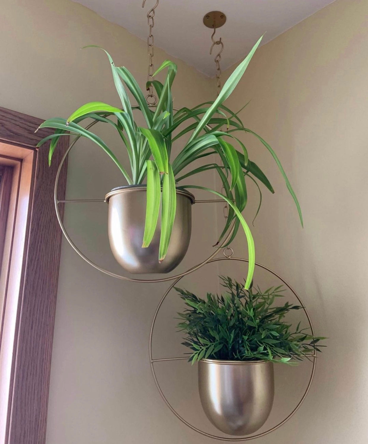 Buy Now Modern Metal Hanging Planters with 6 inch Pot Online | Shineloha