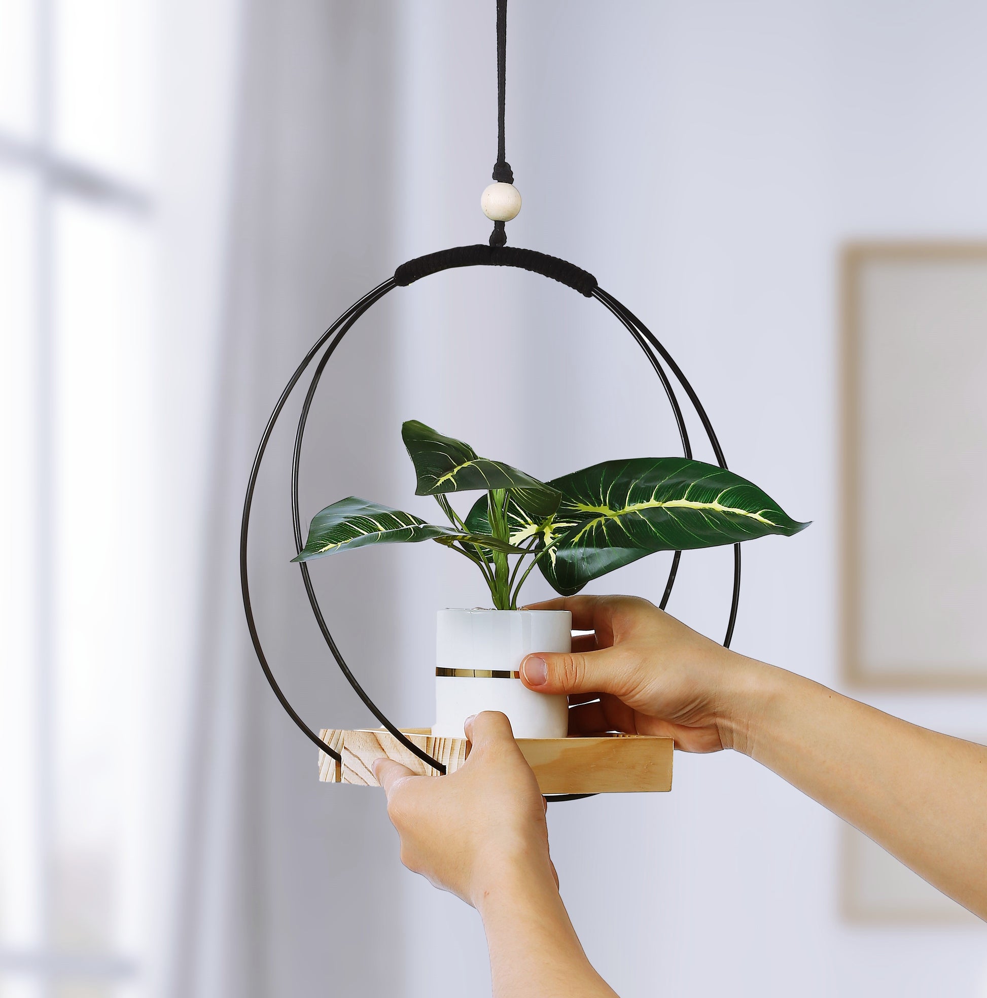 Buy Now Plant Hanger with Wood Base Online | Shineloha