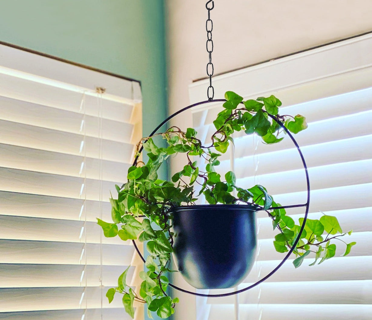 Buy Now Boho Metal Hanging Planters with 6 inch Pot Online | Shineloha