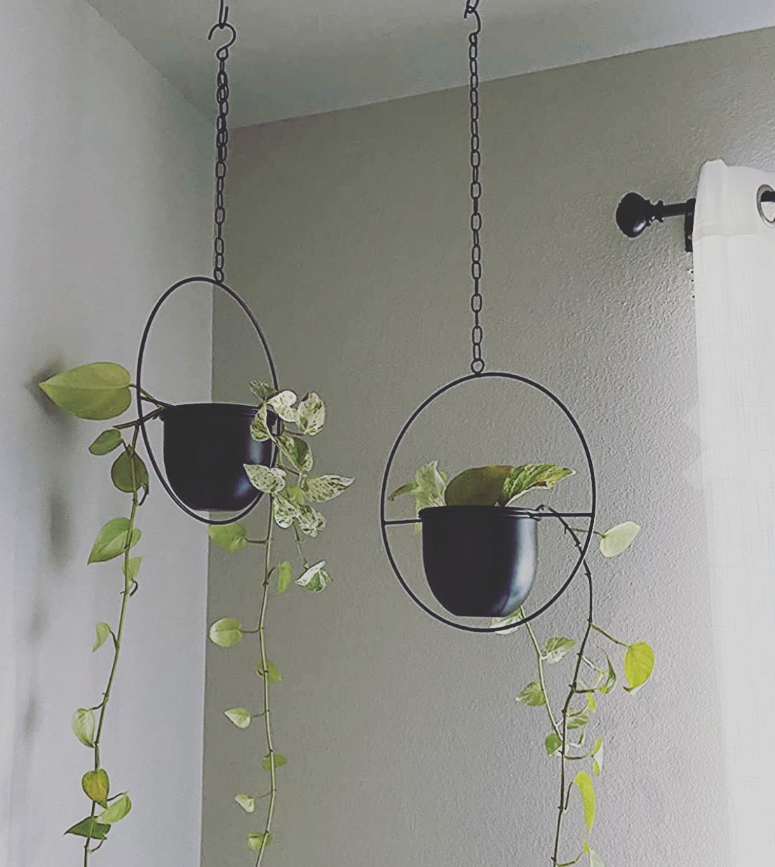 Buy Now Boho Metal Hanging Planters with 6 inch Pot Online | Shineloha