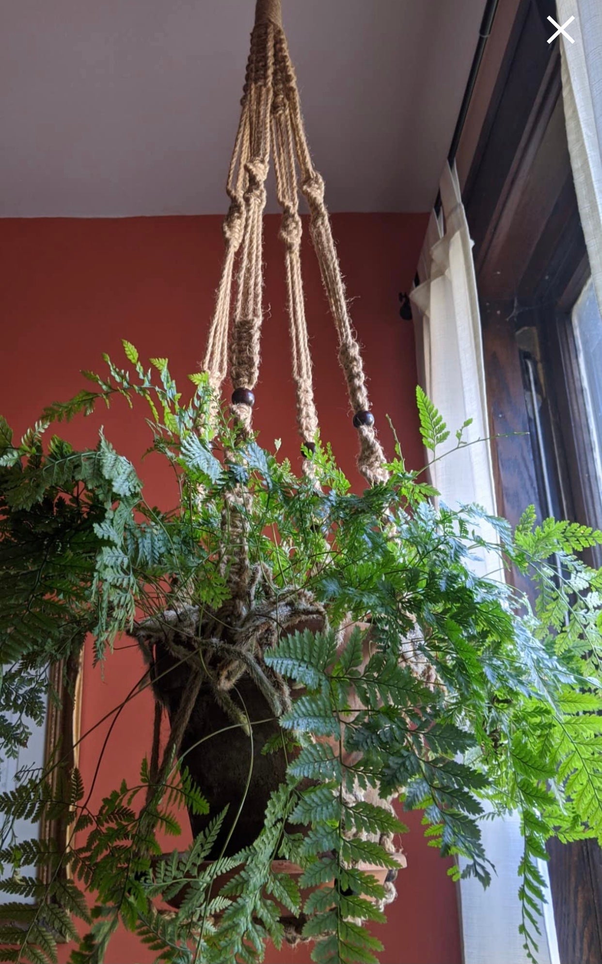 Buy Now Macrame Cotton Plant Hanger for Extra Large Plant Online