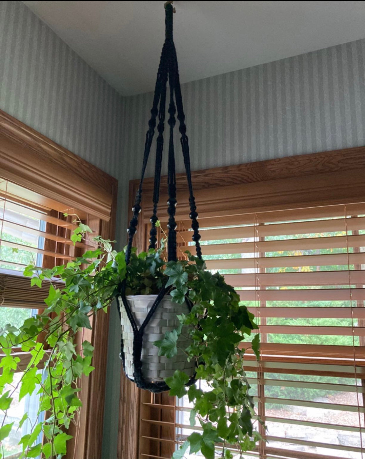 Buy Now Macrame Cotton Plant Hanger for Extra Large Plant Online