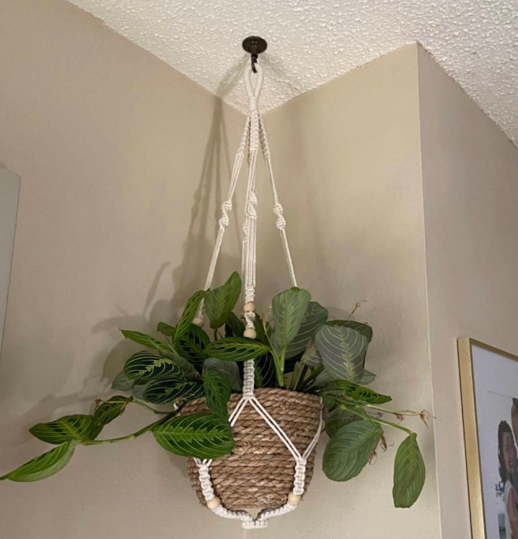 Buy Now Macrame Cotton Plant Hanger for Extra Large Plant Online